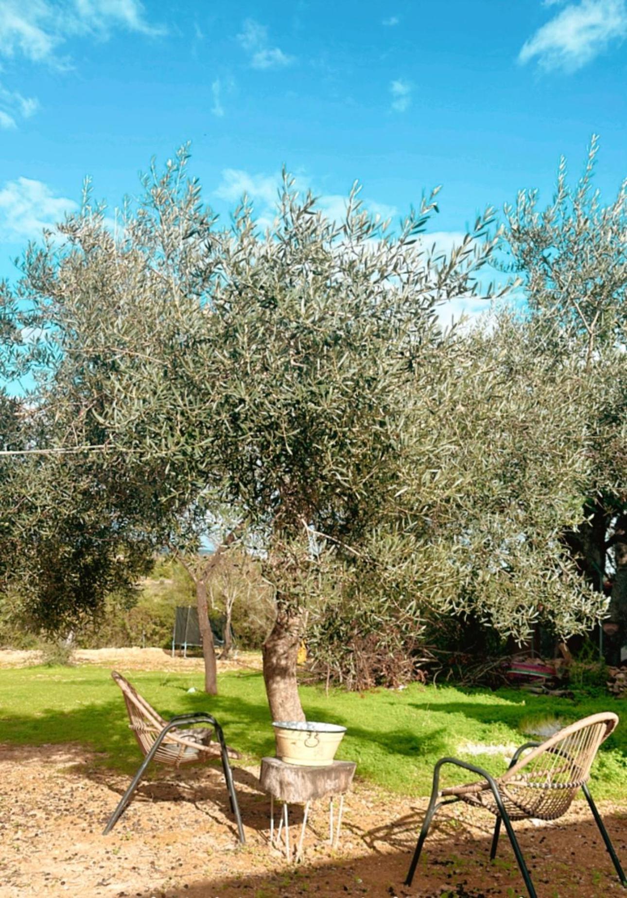La Quinta Da Liberdade - Ferme De Charme En Algarve Villa Pechao Exterior photo